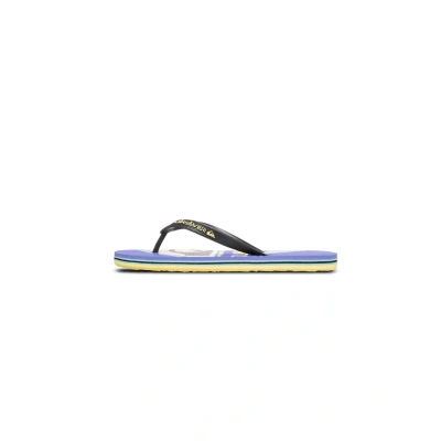Afbeelding van Quiksilver Molokai Screen Teensandalen, Heren, Maat: 39, Dsp Kunststof