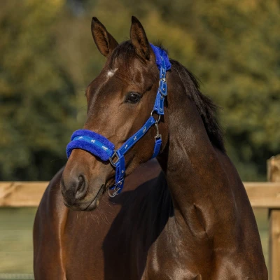 Image de Horka Licol Plush Bleu Royal Cob