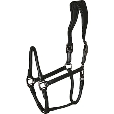 Image de Catago Licol en Cuir Noir Cob