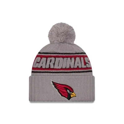 Afbeelding van NFL New Era Sideline 2024 Amerikaanse voetbal pomponmuts teamlogo beanie wintermuts grijs