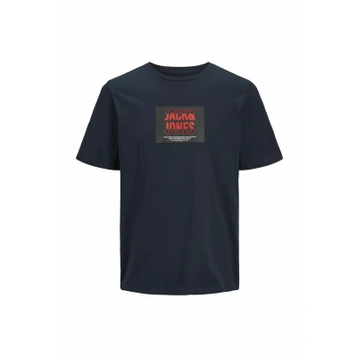 Afbeelding van JACK&amp;JONES PLUS JJHUDSON TEE SS CREW NECK PLS Heren T shirt Sky Captain