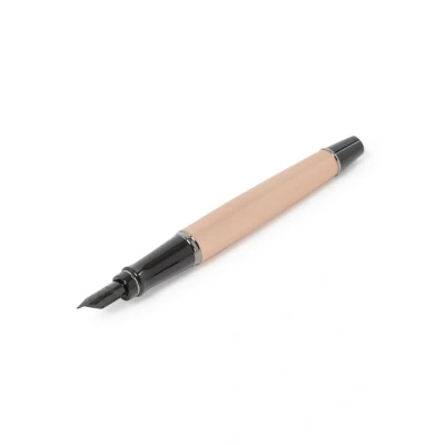 Afbeelding van Waterman Expert Rose Gold RT vulpen