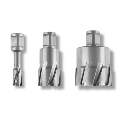 Afbeelding van Fein HM Ultra 75 63127804010 Kernboor 55 mm 1 stuk(s)
