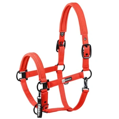 Image de Eskadron FW25 Dynamic Sparkle Double Pin Halter