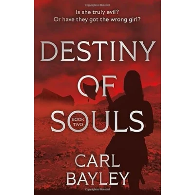 Afbeelding van The Souls Series Destiny of