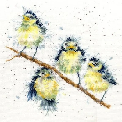 Afbeelding van Sweet Tweet By Hannah Dale Aida telpakket Bothy Threads