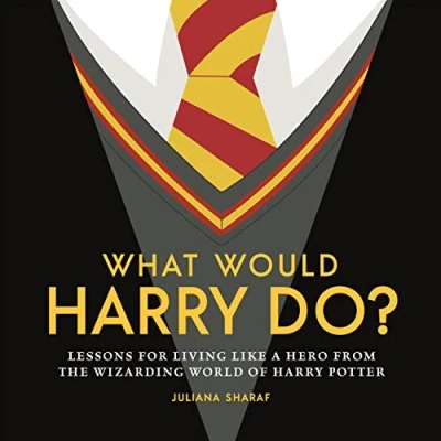 Afbeelding van What Would Harry Do?