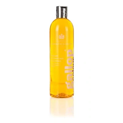 Image de Carr &amp; Day Martin Shampooing Gallop Colour ChâtaigneVendu par Agradi
