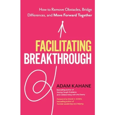 Afbeelding van Facilitating Breakthrough