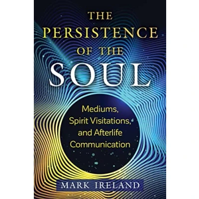 Afbeelding van the Persistence of Soul