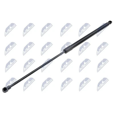 Afbeelding van NTY AE FR 054 Gasveer achterklep 295N 581mm