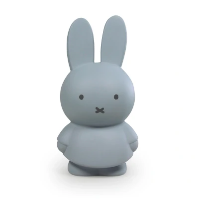 Afbeelding van Atelier Pierre Junior Nijntje Spaarpot Small Silver Blue