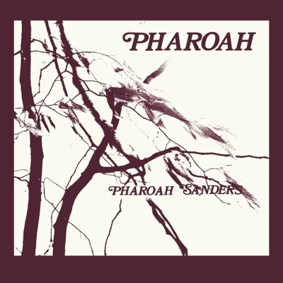 Afbeelding van Pharoah Sanders (2Cd)