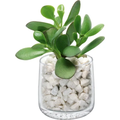 Afbeelding van L.S.A. Market Theelicht Houder 8 cm Transparent / Glass