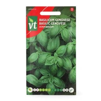 Afbeelding van basilicum Genovese Ocimum Pittig met accenten van munt en anijs.
