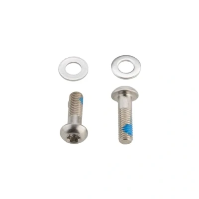 Afbeelding van Remdeel sram montage bouten rvs t 25 17mm flat ZILVER