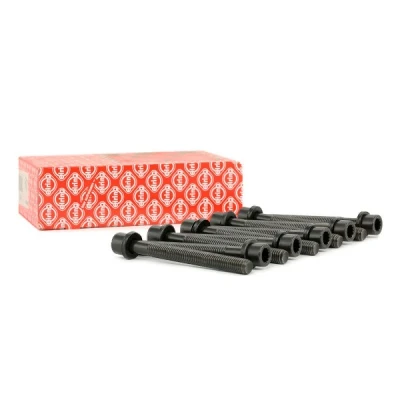 Afbeelding van ELRING 819.824 Cilinderkopbouten Binnen veeltandig VOLKSWAGEN: GOLF 2, Passat B3/B4 Saloon, Vento, AUDI: 80 B3, A4 B5 B4 Saloon