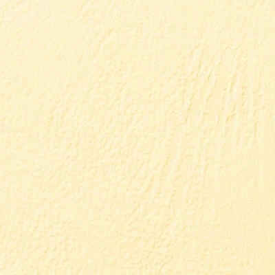 Image de Couverture pour perforelieuse en PVC GBC finition cuir