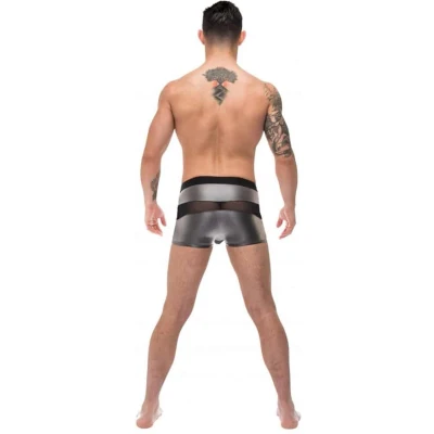 Afbeelding van Male Power Short grey S