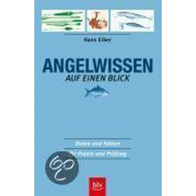Afbeelding van Angelwissen auf einen Blick