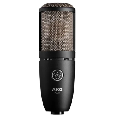 Afbeelding van AKG P220 Grootmembraan condensator microfoons