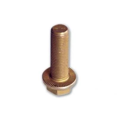 Afbeelding van Schroef AUGER 51519