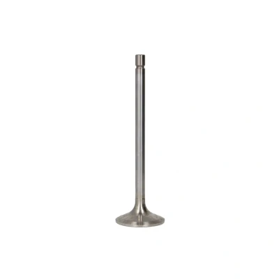 Afbeelding van FRECCIA R6492/BMCR Inlaatklep 46 Verchroomde klepsteel