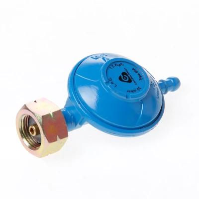 Afbeelding van Hasmi Drukregelaar 30 gram shell