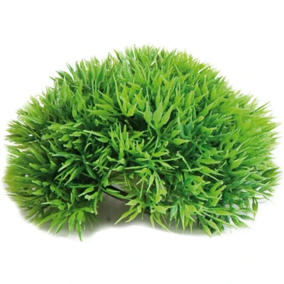 Afbeelding van Flamingo Aquarium Decoratie Mosbal Groen 11 x 5 cm