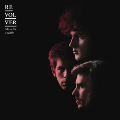 Afbeelding van Music For A While