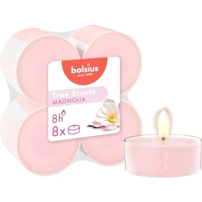 Afbeelding van Maxilicht geur 8 stuks True Scents Magnolia Bolsius