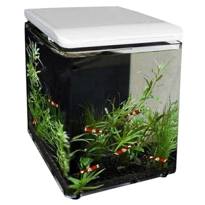 Afbeelding van Superfish Home 8 Wit