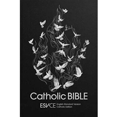 Afbeelding van ESV CE Catholic Bible, Anglicized