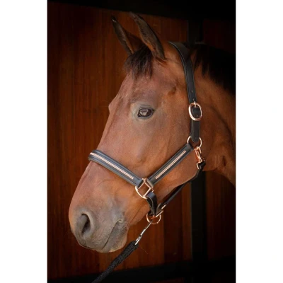 Afbeelding van Harry&#039;s Horse Halster Leder Metallic Zwart/Rosegoud PONY