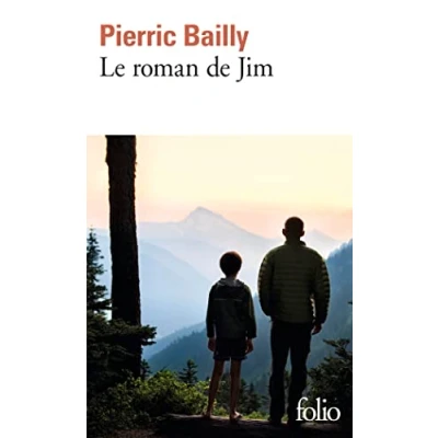Afbeelding van LE ROMAN DE JIM