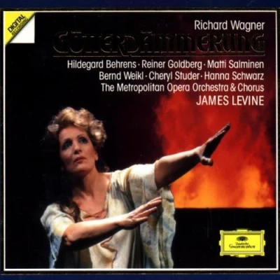 Afbeelding van Wagner: Götterdämmerung