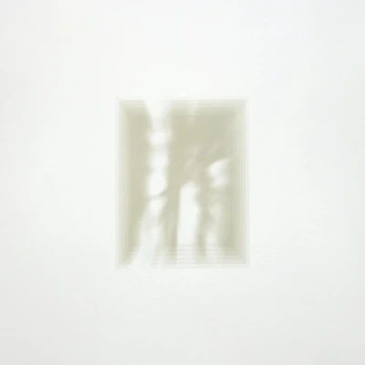 Afbeelding van Fat White Family Forgiveness Is Yours (LP)