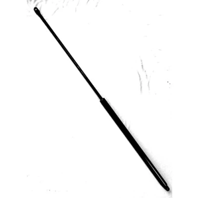 Afbeelding van STABILUS 095249 Gasveer