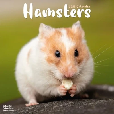Afbeelding van Hamster Kalender 2026