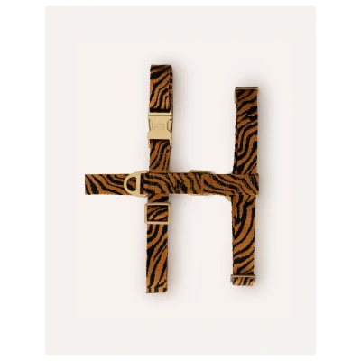 Afbeelding van Dogguo Zebra Harness Hondentuig Roest Zwart M