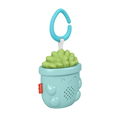 Afbeelding van Fisher Price Soothe &amp; Go Succulent Kinderwagen baby speelgoed muziek speeltje Vetplant 20x10x8cm