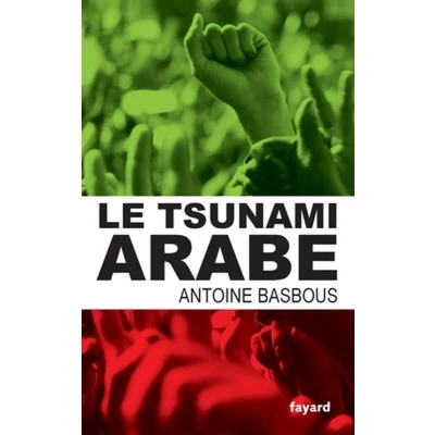Afbeelding van ISBN Le Tsunami Arabe, Politiek, Frans, Paperback