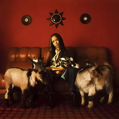 Afbeelding van Tsha Capricorn Sun (2 LPs)
