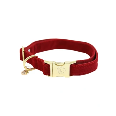 Image de Kentucky Dog Collar Corduroy