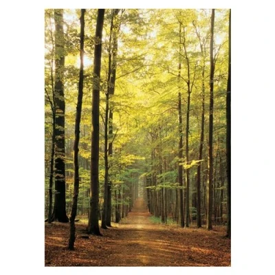 Afbeelding van Eurographics IM WALD Puzzel voor kinderen, Maat: One Size, Multi coloured