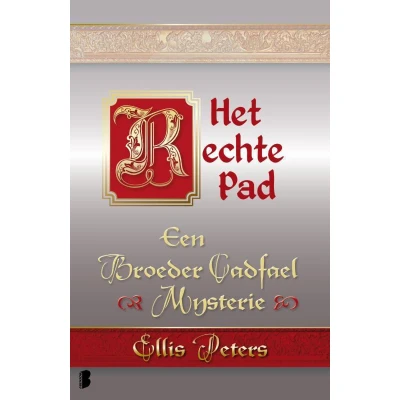 Afbeelding van Het rechte pad