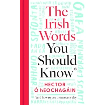 Afbeelding van The Irish Words You Should Know