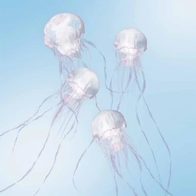 Afbeelding van Scandal Luminous (CD)