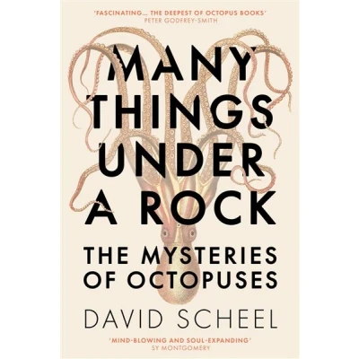 Image de Many Things Under a Rock