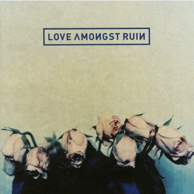 Afbeelding van Love Amongst Ruin